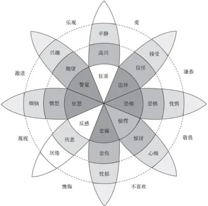 3B3D5