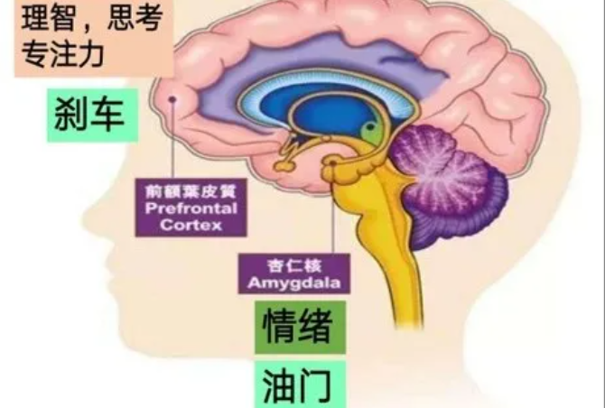 563E9